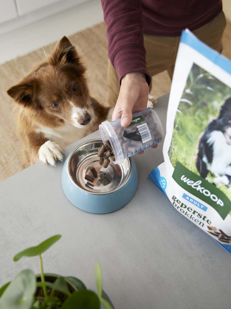 hondenbrokken welkoop